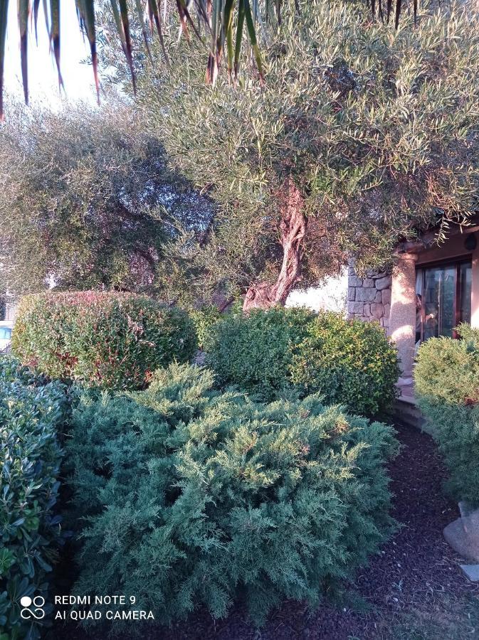 La Forma Dell'Acqua Bed & Breakfast Su Forti Eksteriør bilde